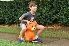 Bouncy Rider - Leo The Lion