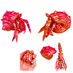 3D Printed Hermit Crab Fidget