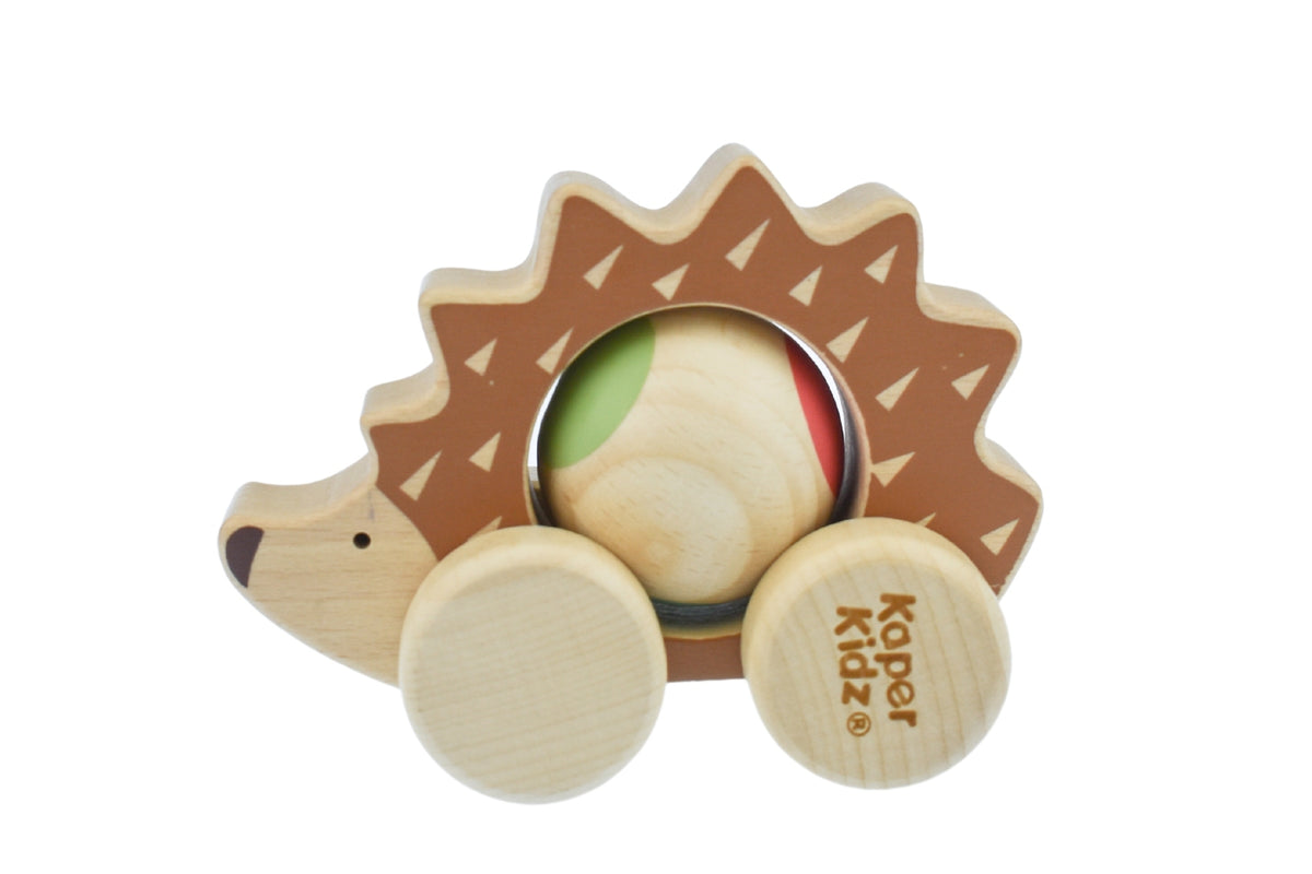 Eco Play Push Along Spinning Hedgehog