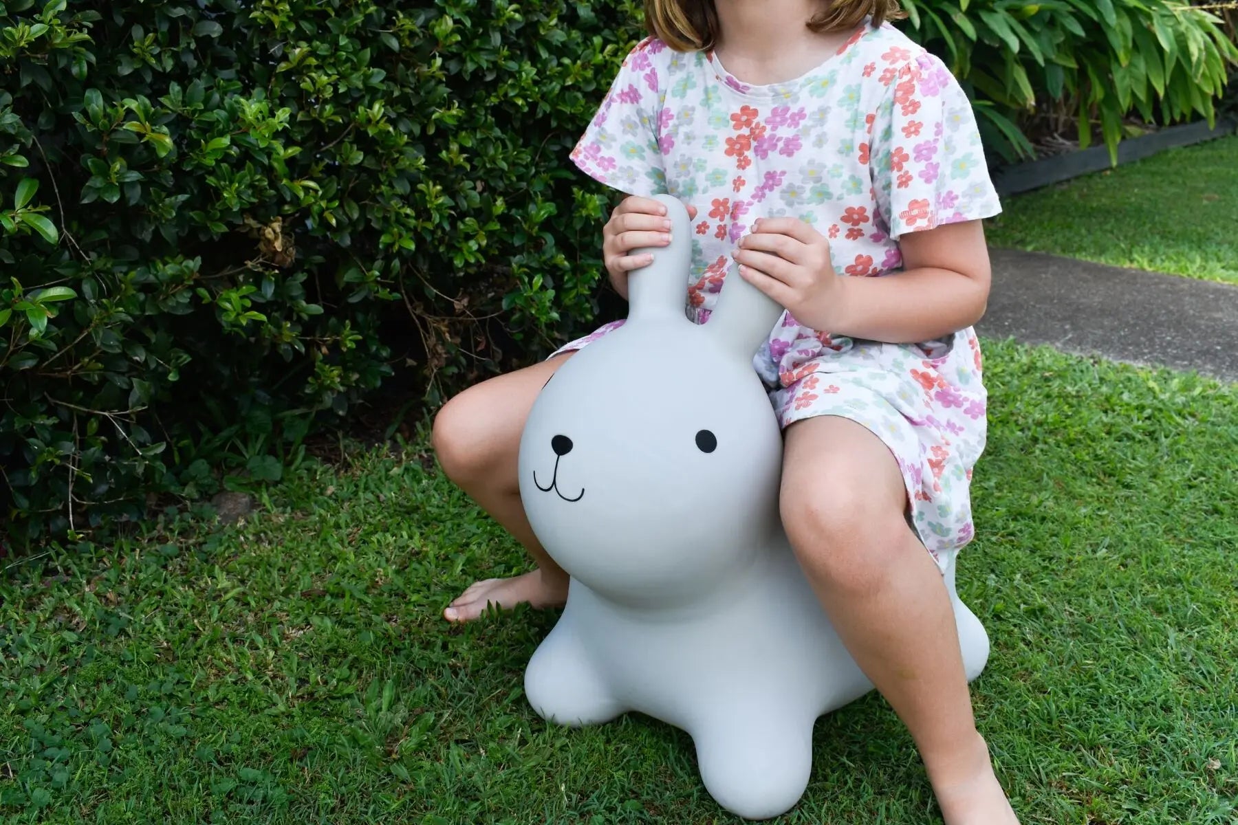 Bouncy Rider - Ashby the Rabbit