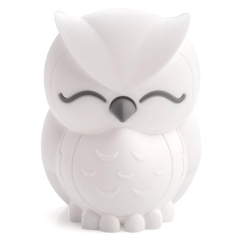 Lil Dreamers Owl Soft touch LED Light