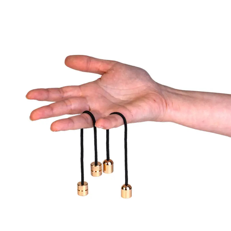 Begleri Fidget Swinger