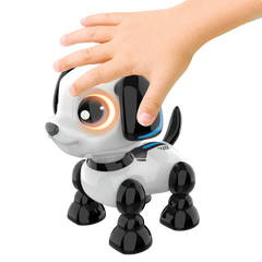 ROBO Heads Up - Puppy