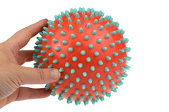 Spiky Sensory Ball